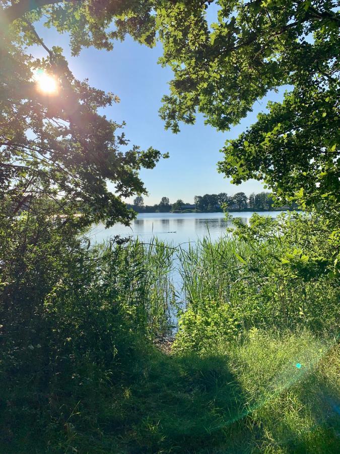 Ferienhaus Seeblick Am Harkebruegger See Mit Sauna Und Kamin Barssel  Eksteriør bilde