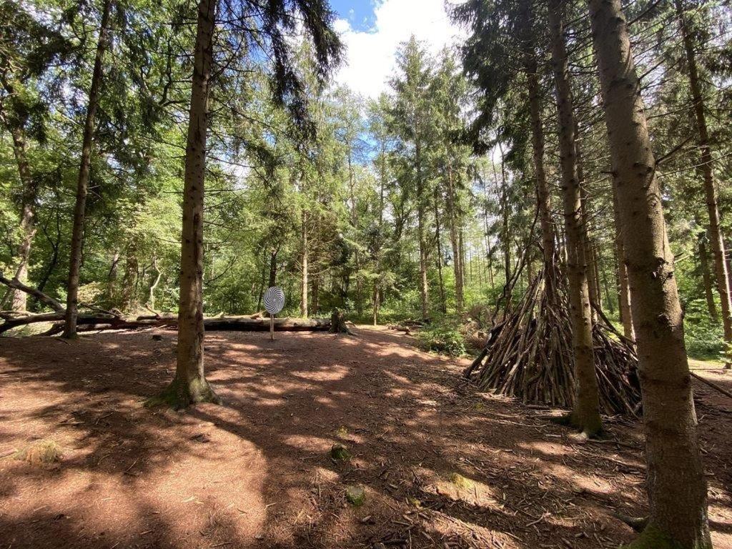 Ferienhaus Seeblick Am Harkebruegger See Mit Sauna Und Kamin Barssel  Eksteriør bilde